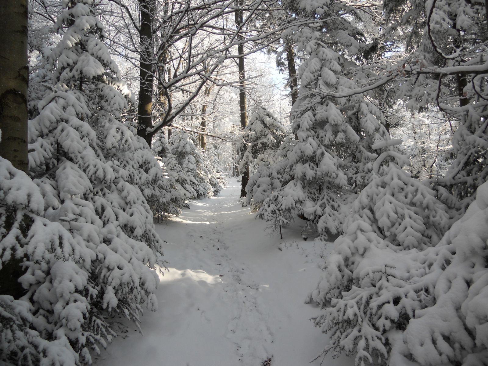 Zima w Beskidzie Wyspowym